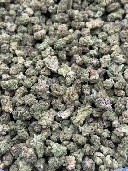 Skywalker #226