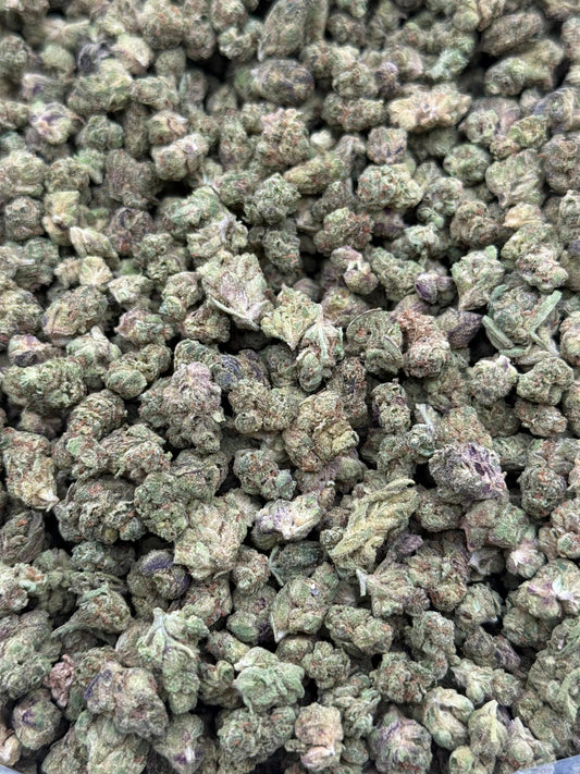 Skywalker #226