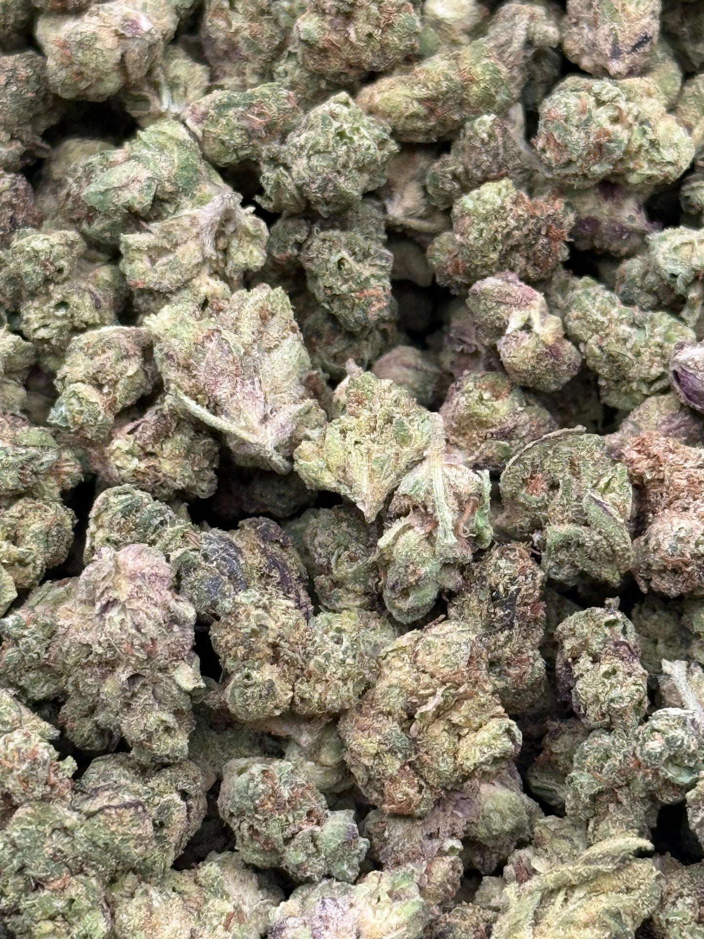 Skywalker #226