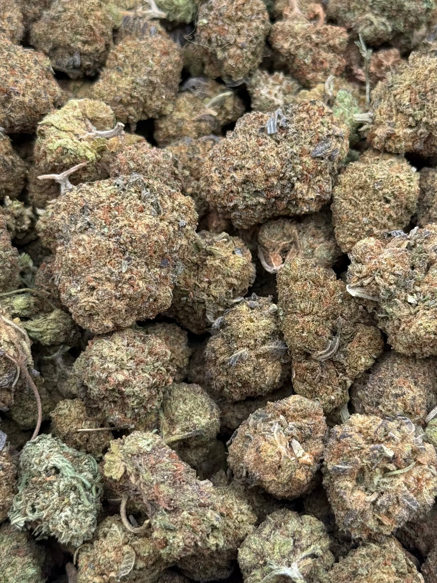 Skywalker #330