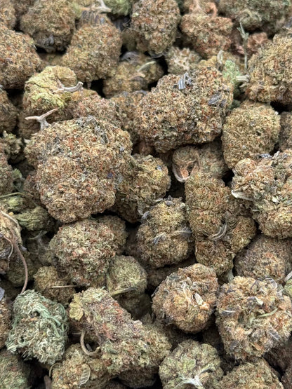 Skywalker #330