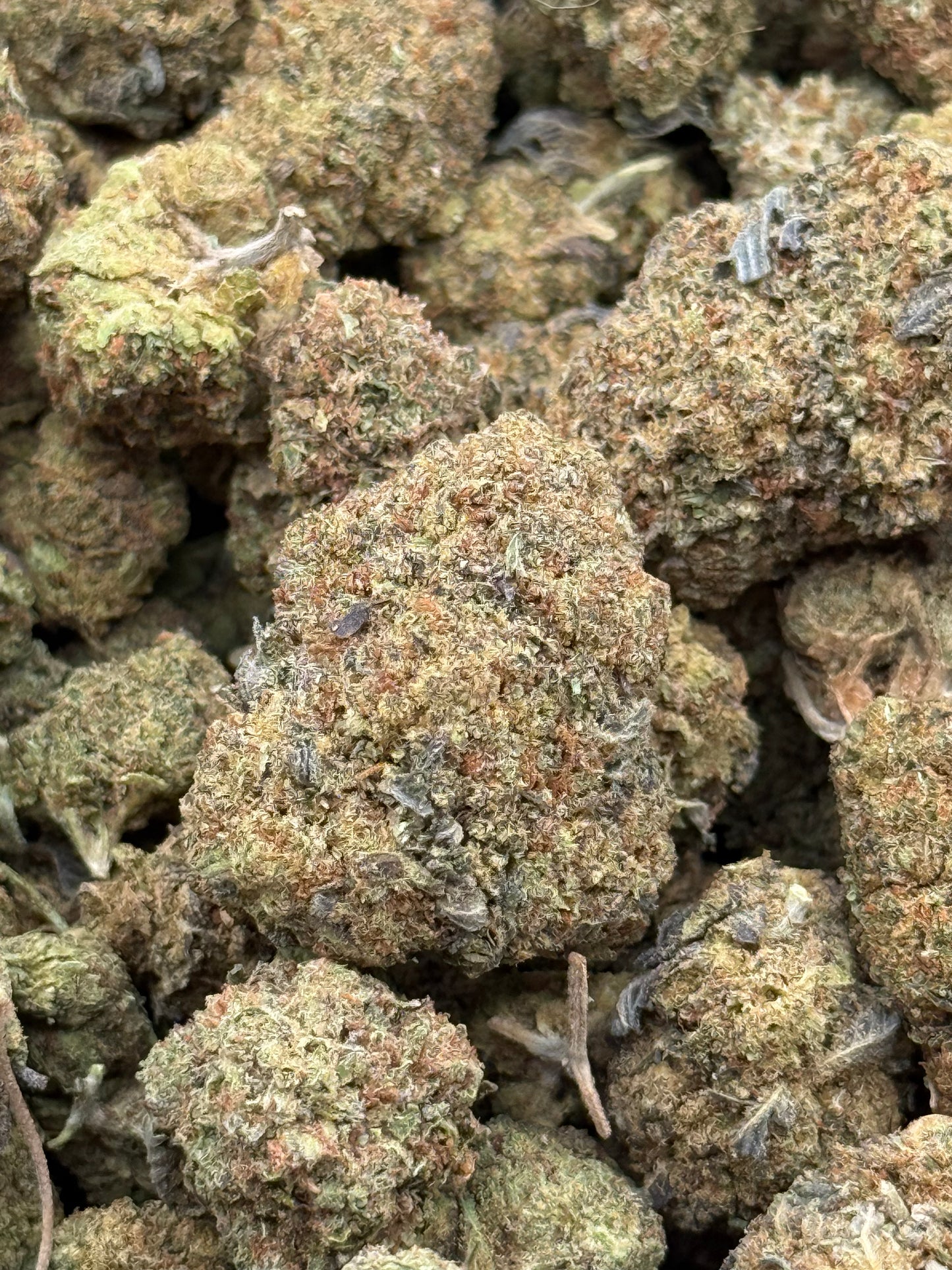 Skywalker #330