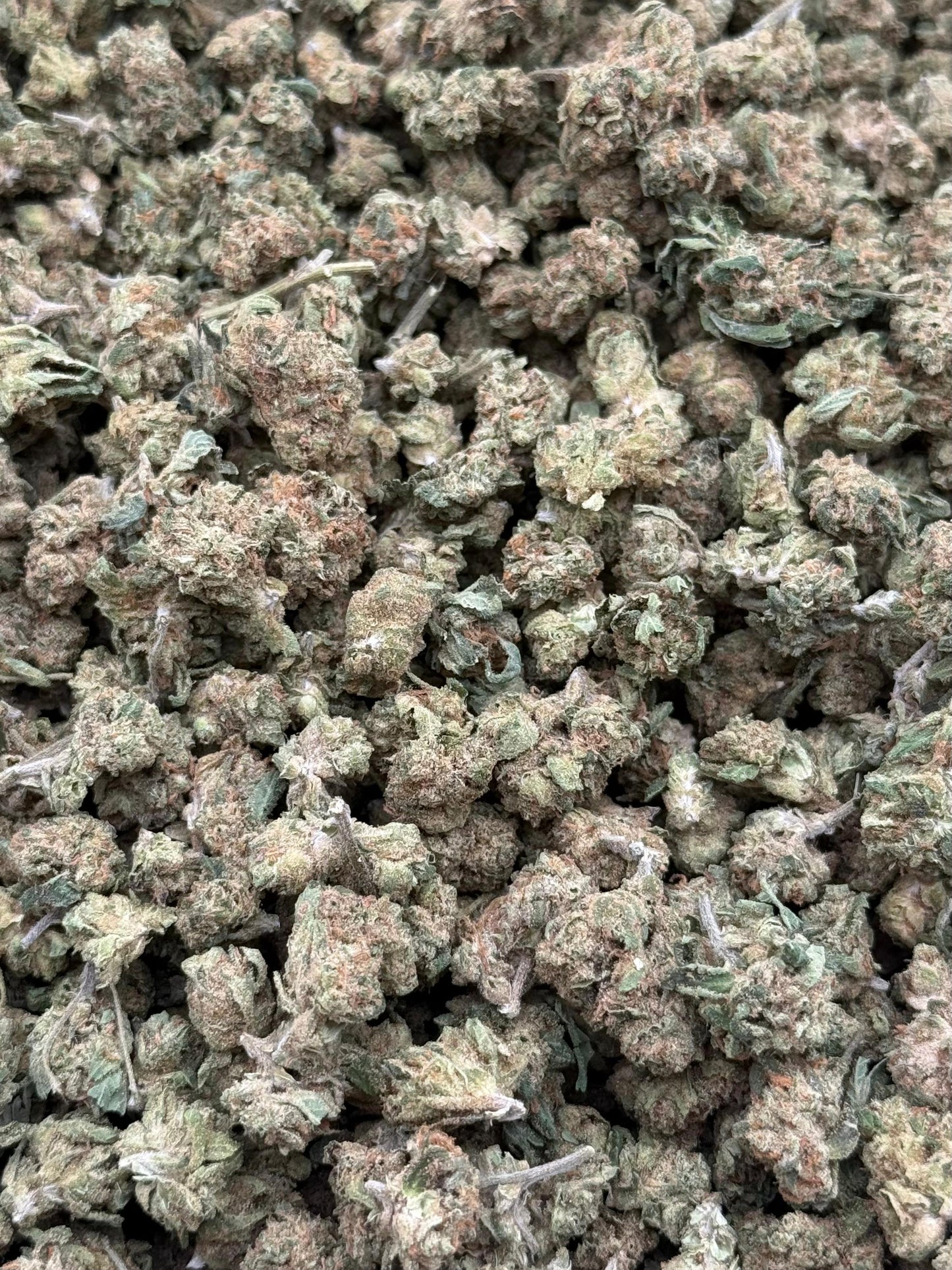 Sour Diesel #229