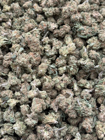 Sour Diesel #229