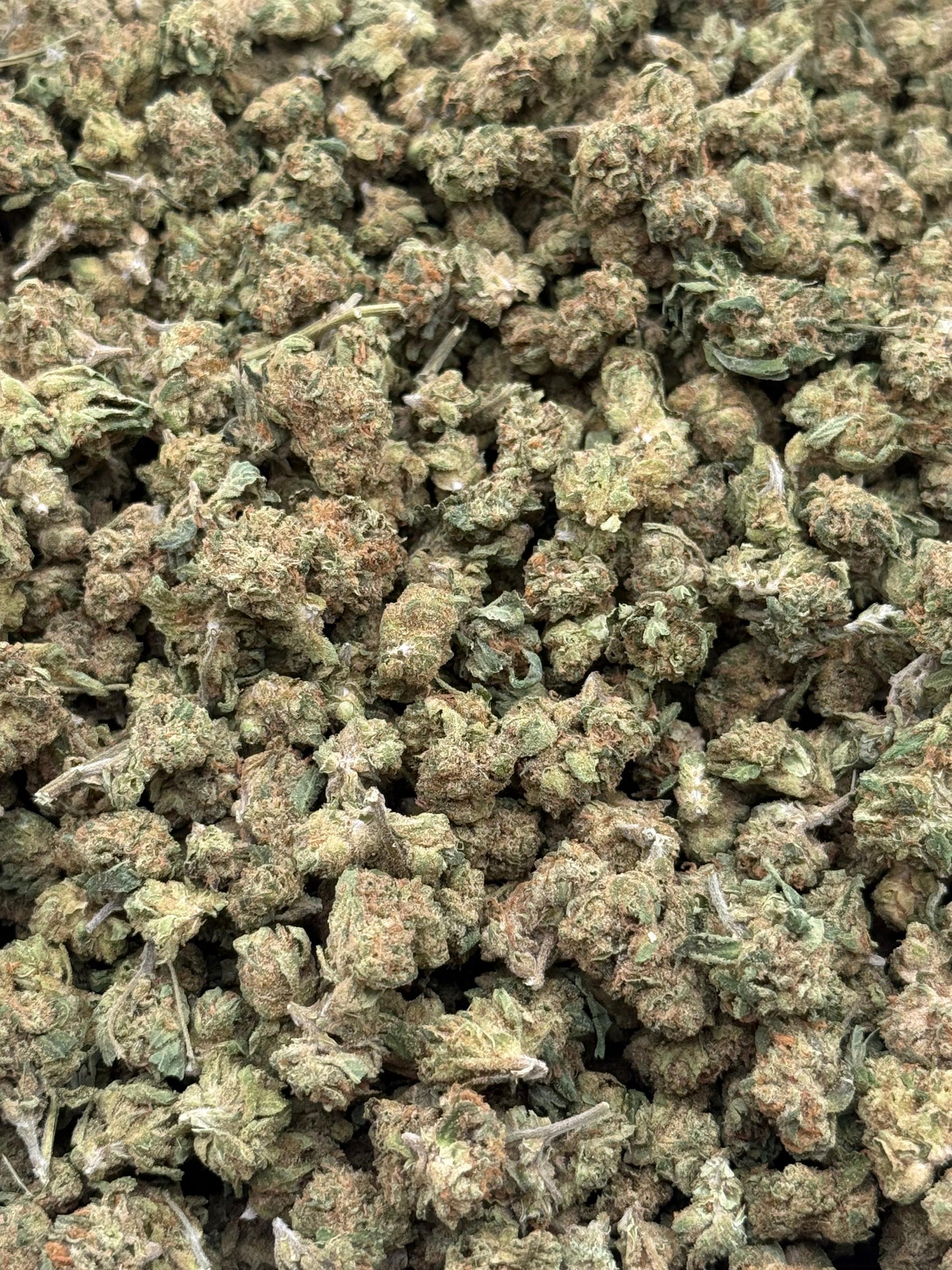 Sour Diesel #229