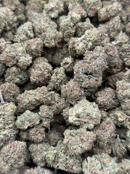 Sour Dragon #217