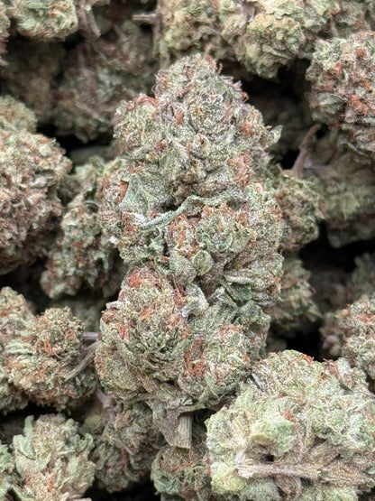 Sour Dragon #217
