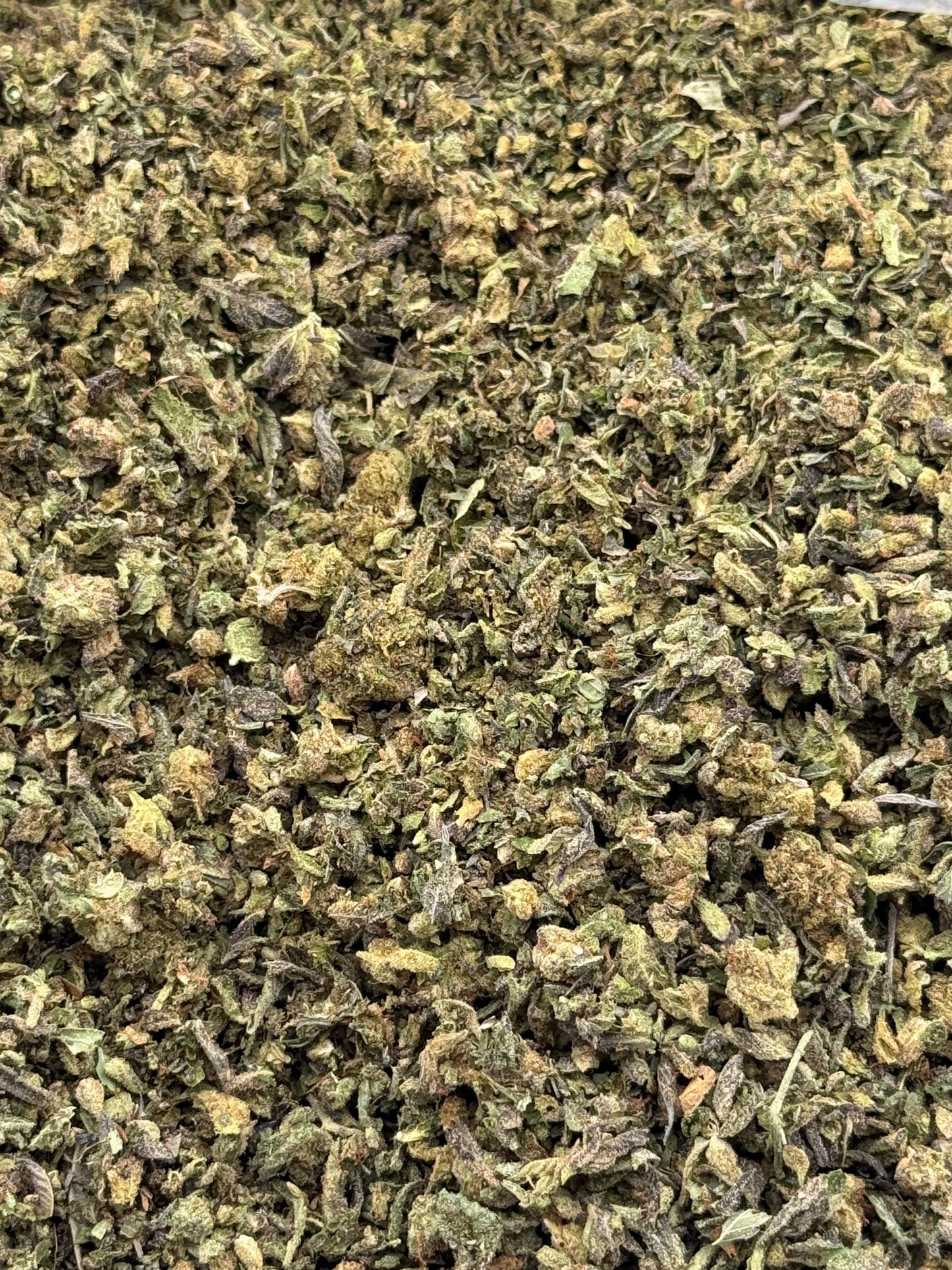 Sour Dream #192 Shake