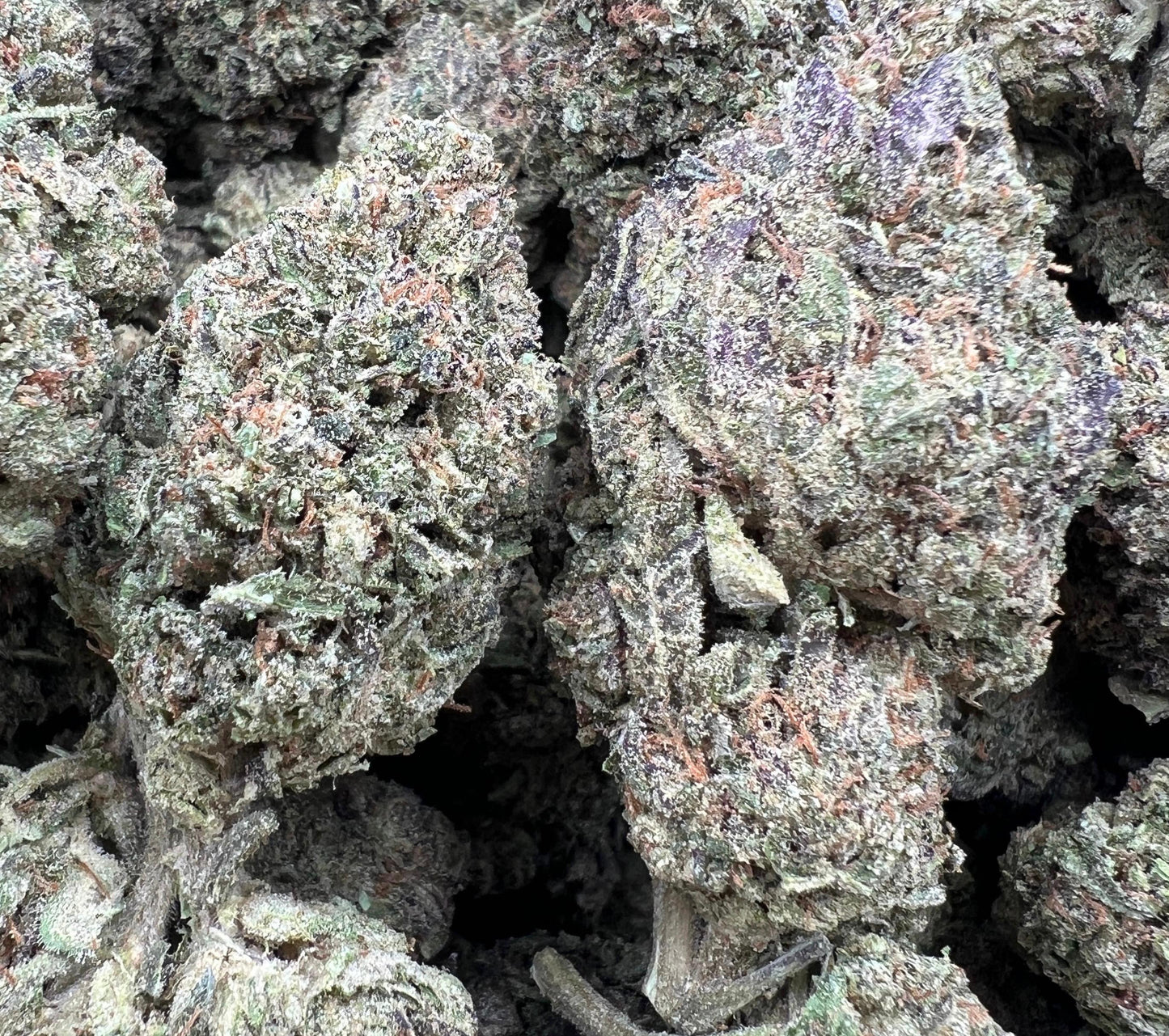 Sour Patch