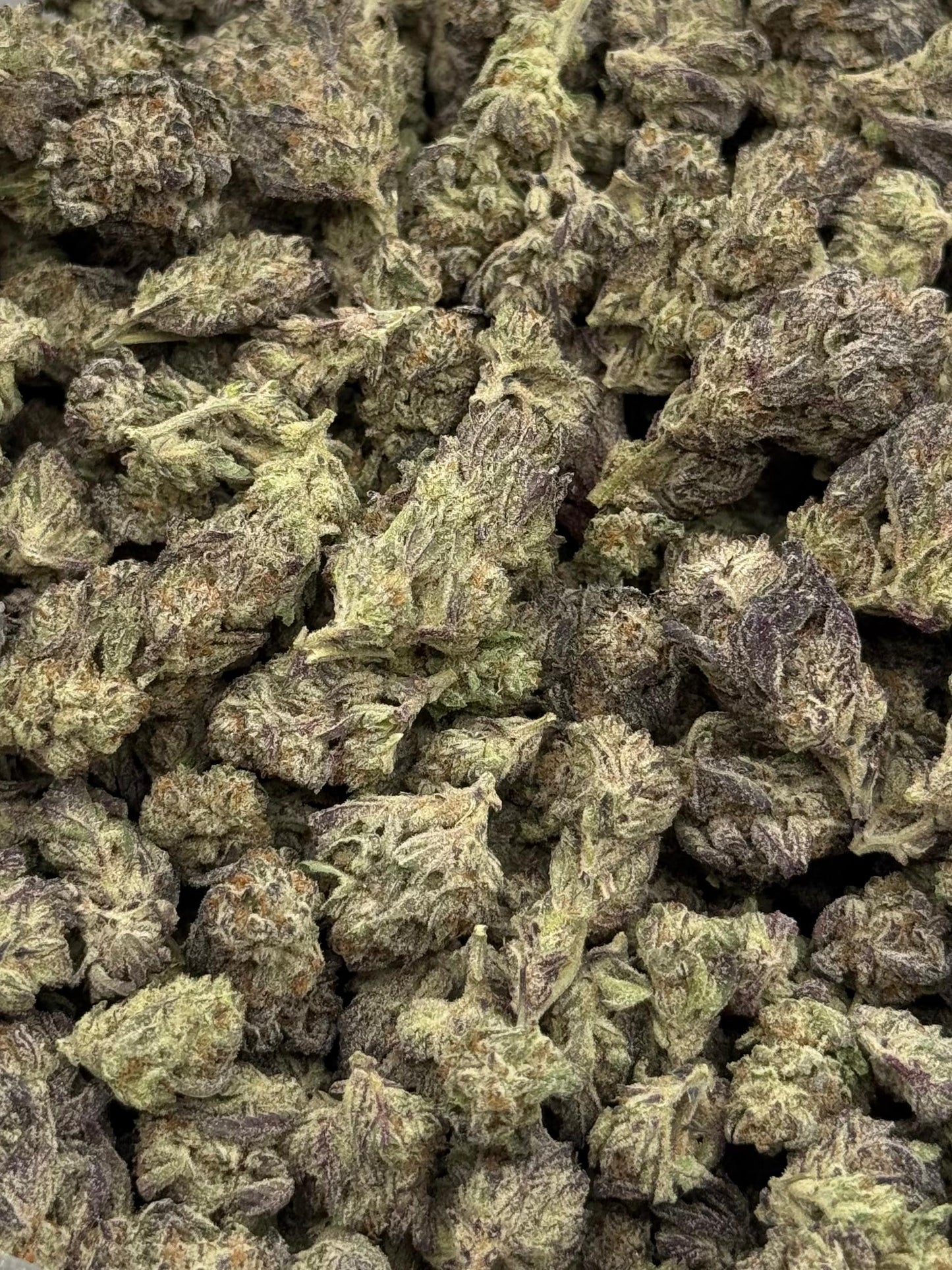 Splash Mountain #147