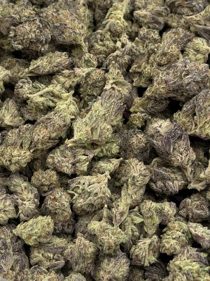 Splash Mountain #147