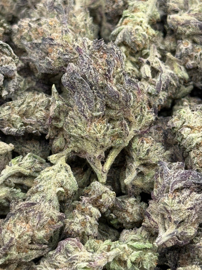 Splash Mountain #147