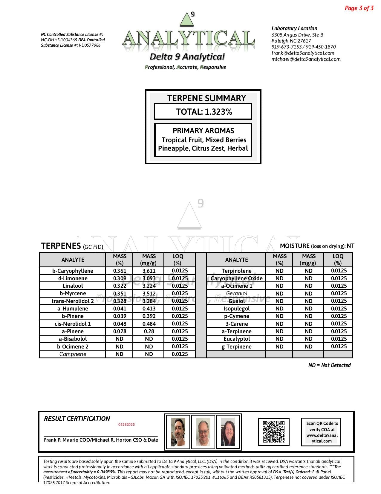 Splash Mountain #147