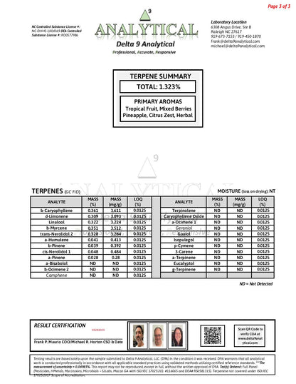 Splash Mountain #147