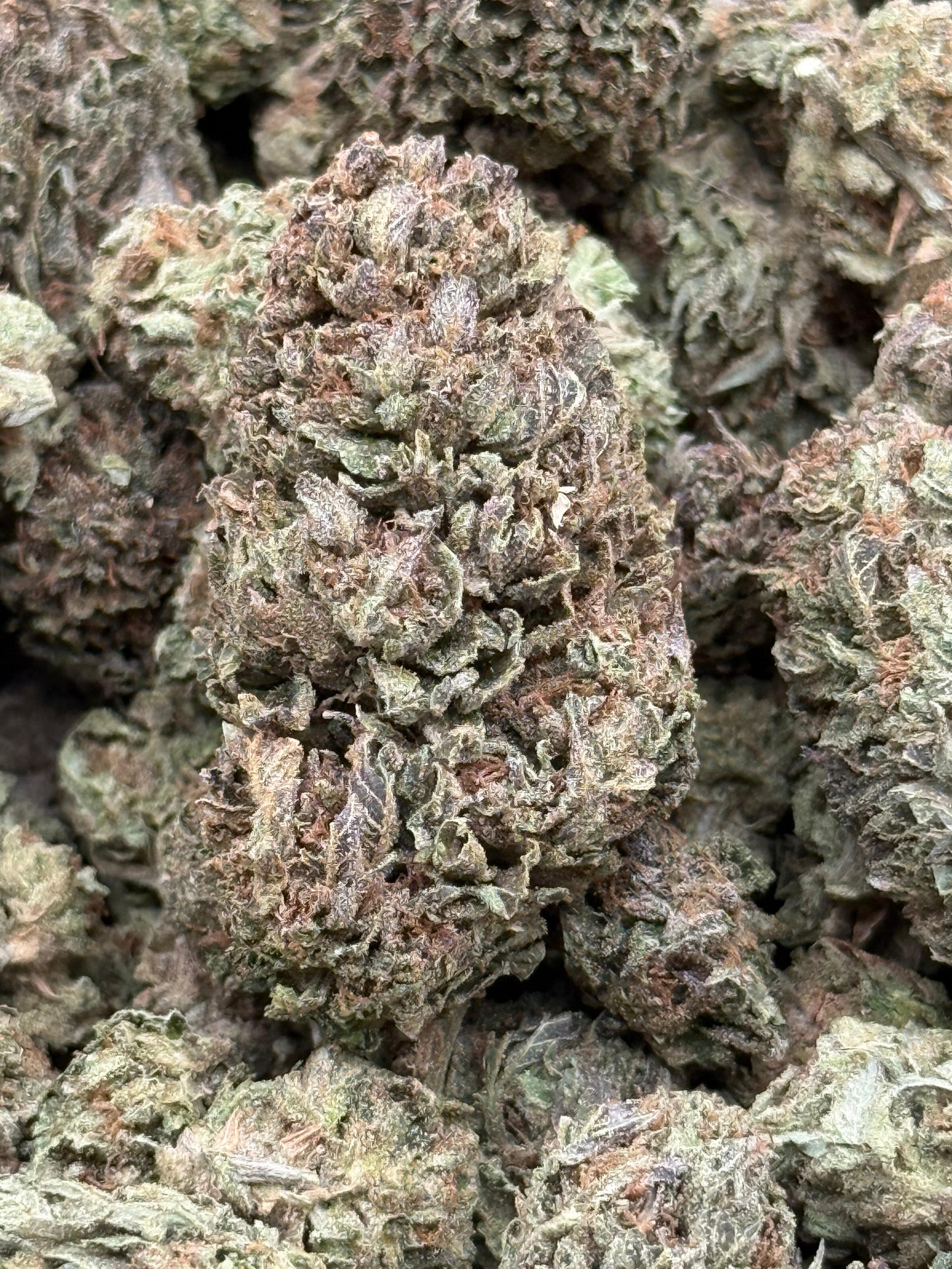 Sticky Fingers #135 | QP