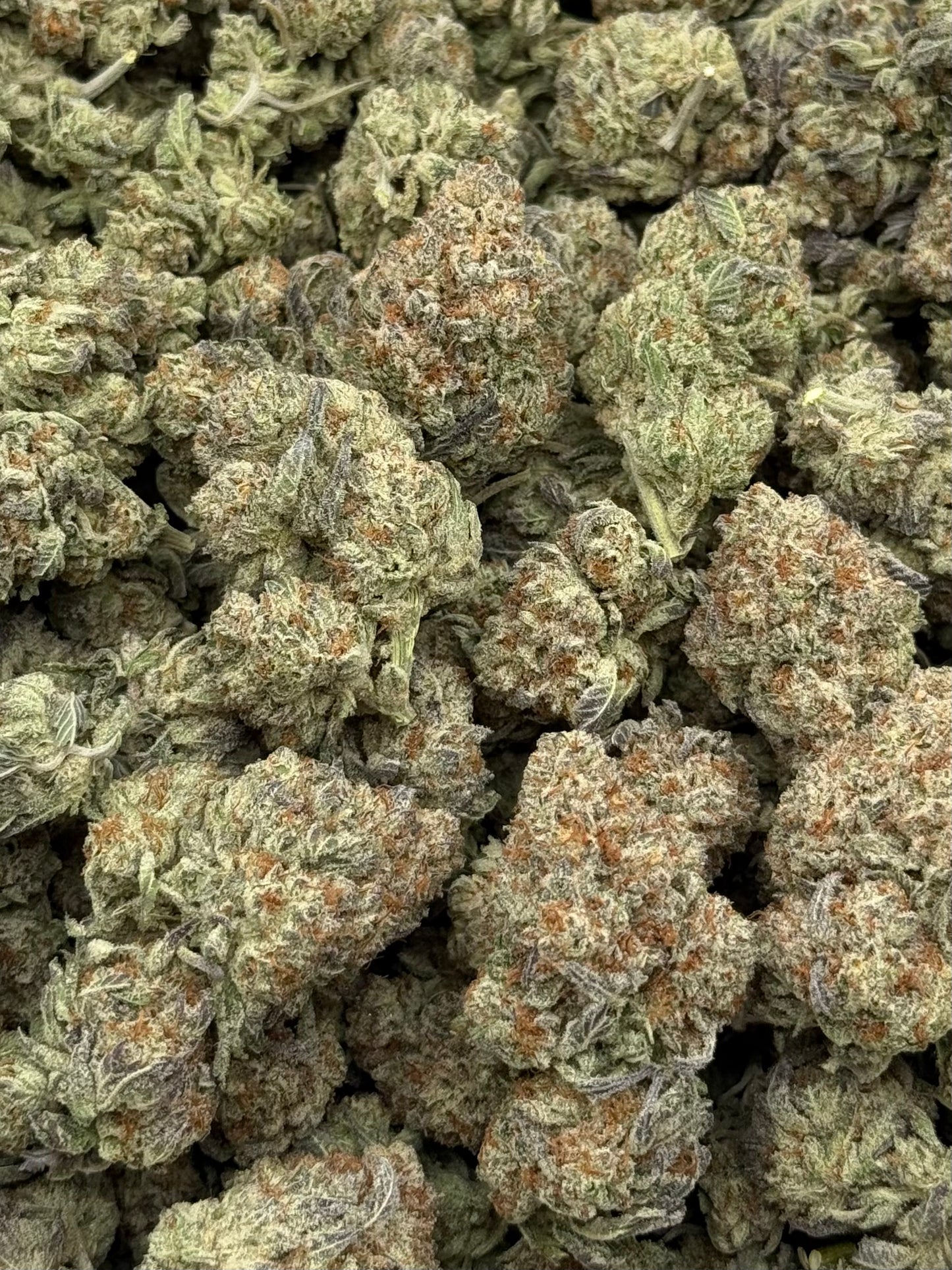 Strawberry Cough #459 | 1/2 lb