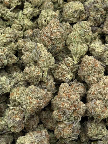 Strawberry Cough #459 | 1/2 lb