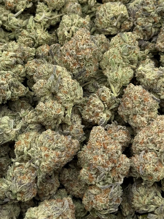 Strawberry Cough #459 | 1/2 lb