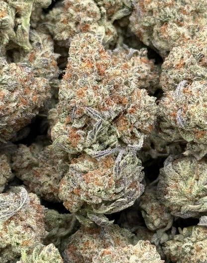 Strawberry Cough #459 | 1/2 lb