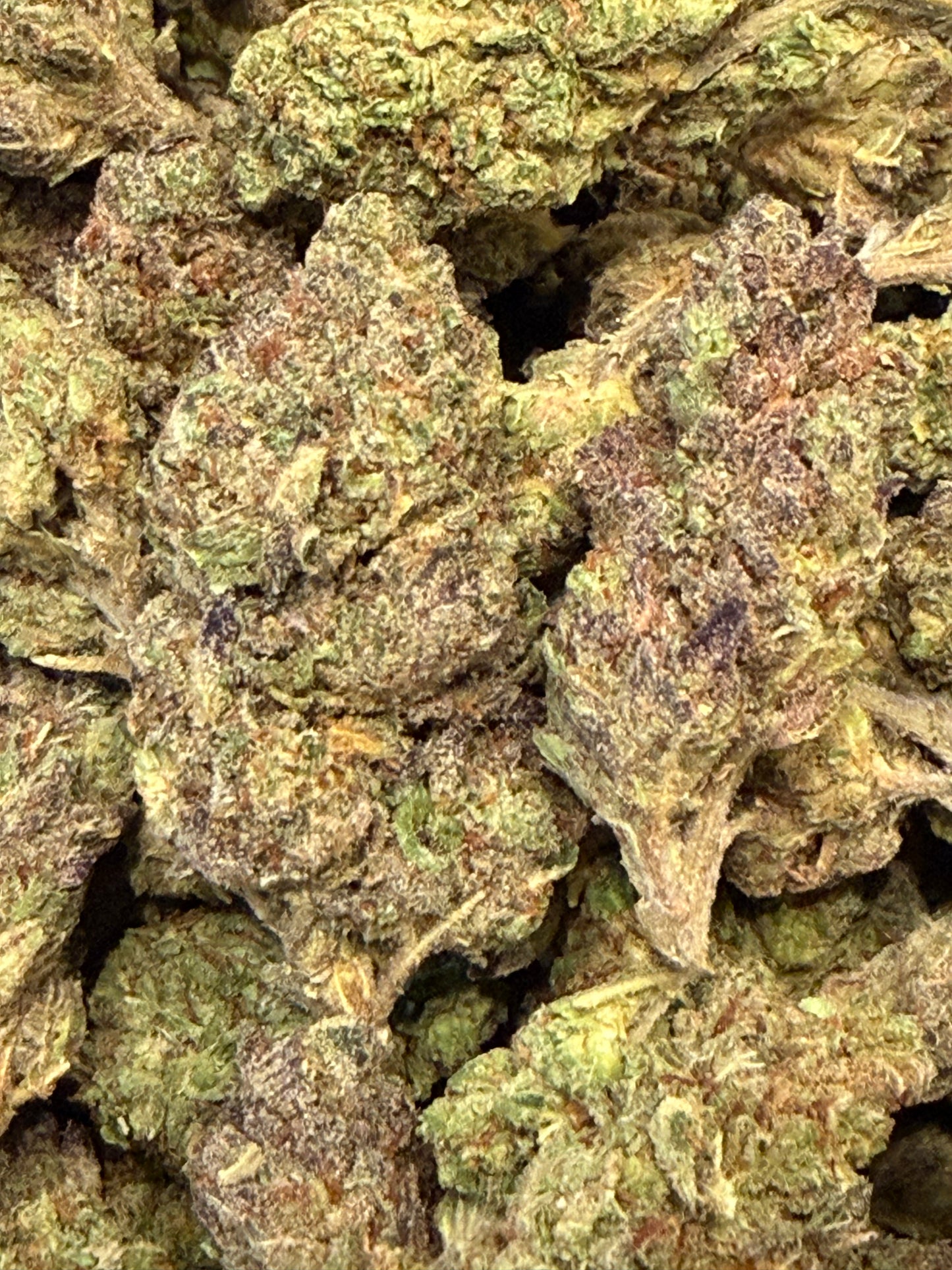 Sugar Cookies #555