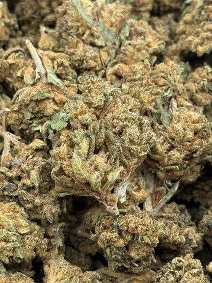Tangerine Dream #412 | 1/2 lb