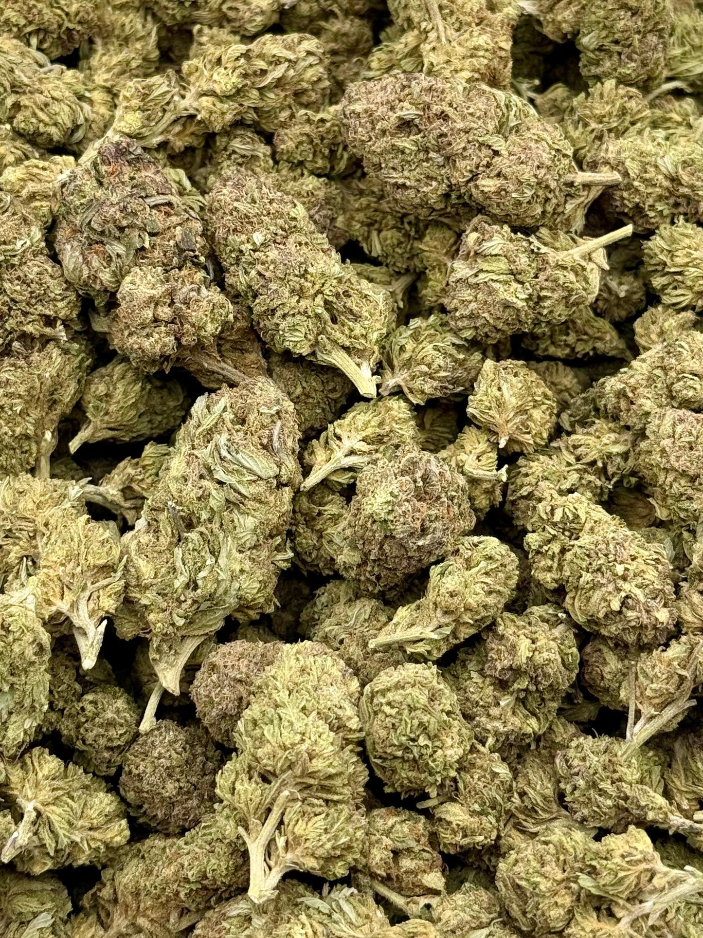Thin Mints #172