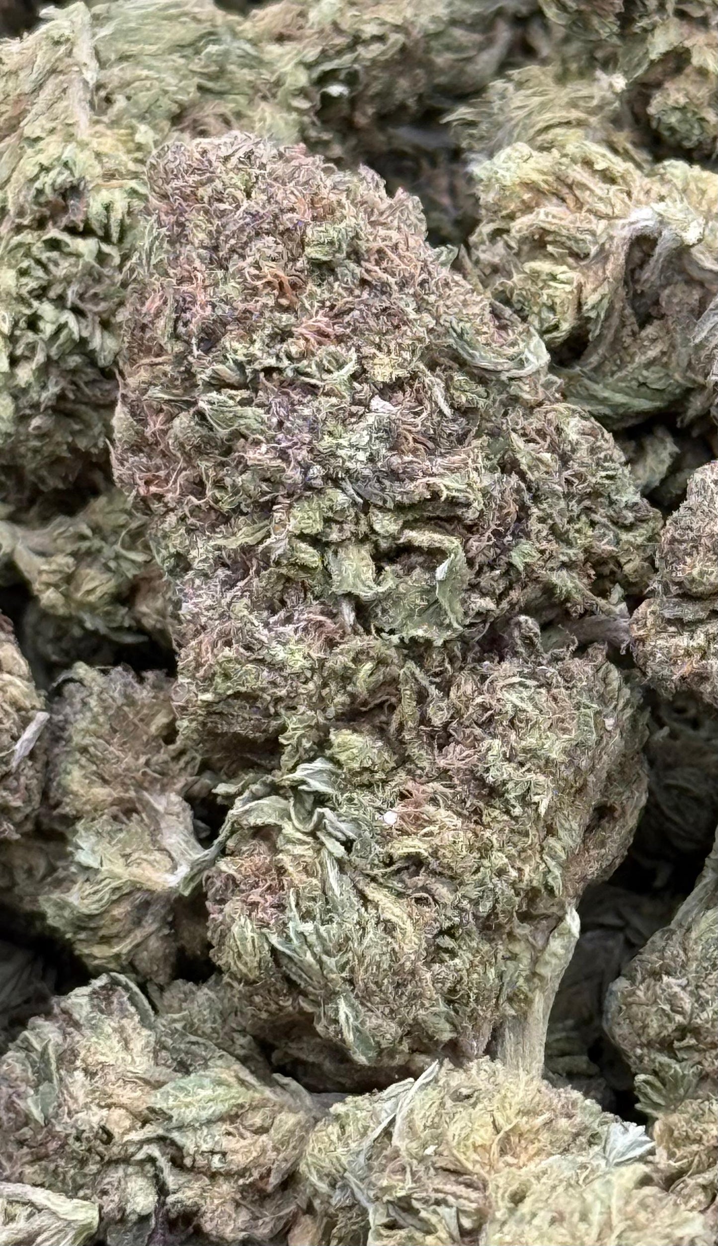 Thin Mints #172
