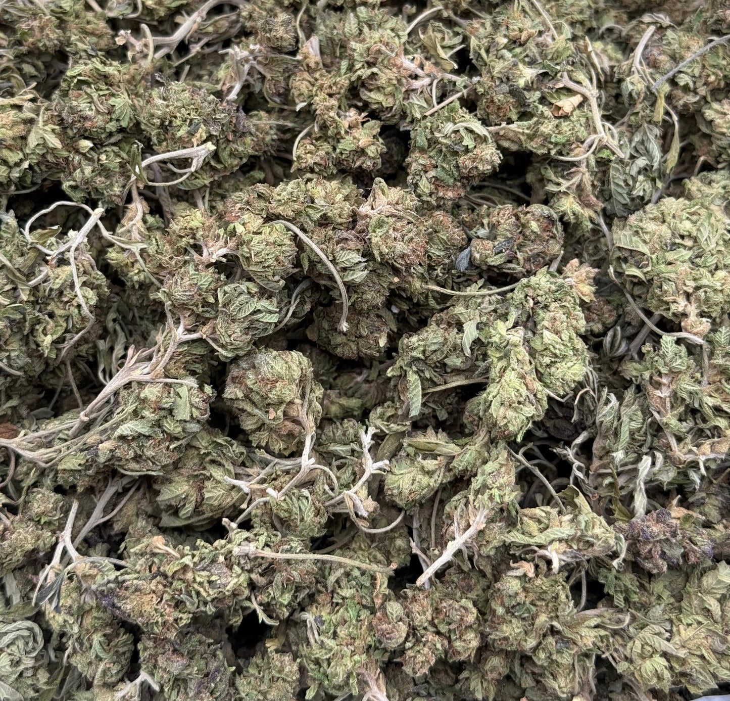 Tigers Blood Shake #123