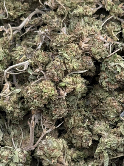 Tigers Blood Shake #123