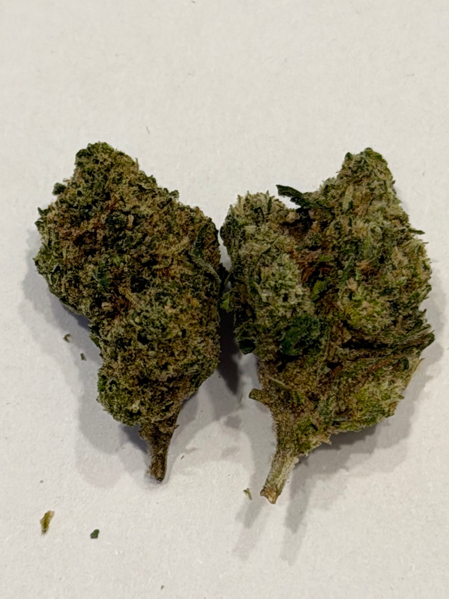 Train Wreck #553