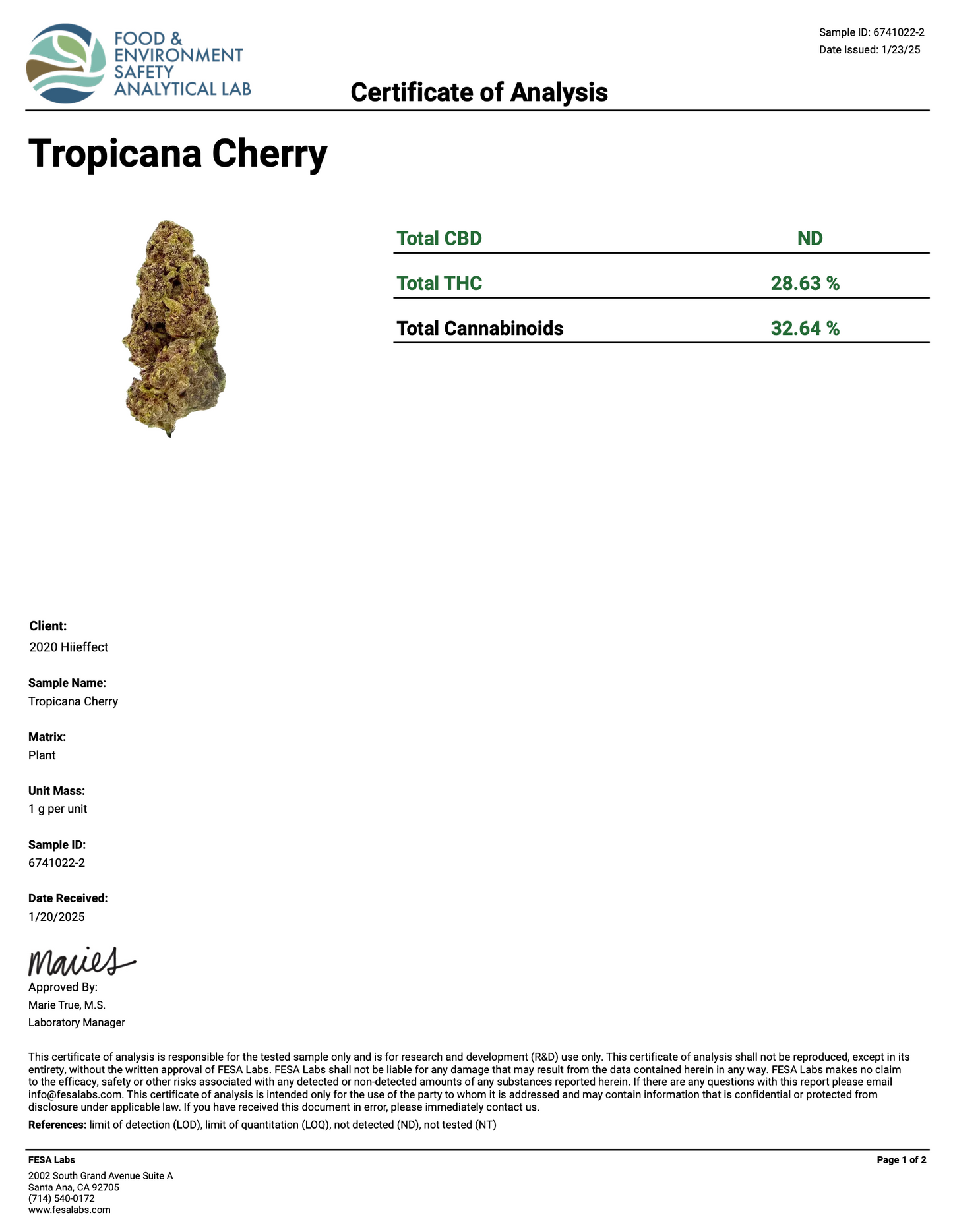 Tropical Cherry