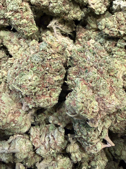 Tropicana Z #556