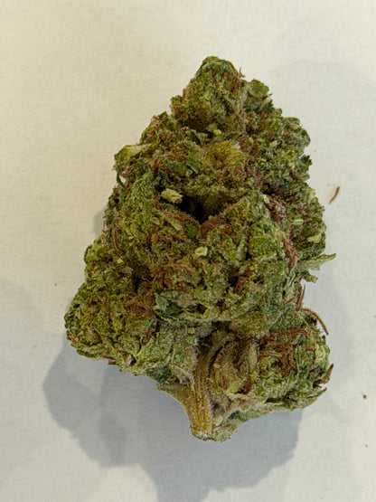 Tropicana Z #556