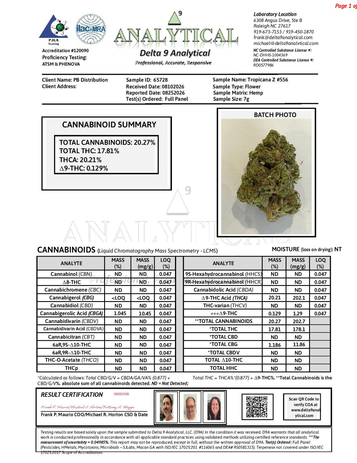 Tropicana Z #556