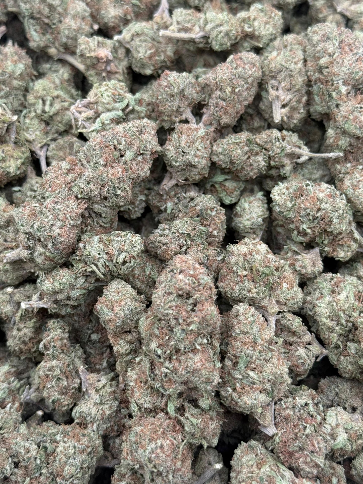 Tutti Fruity #163