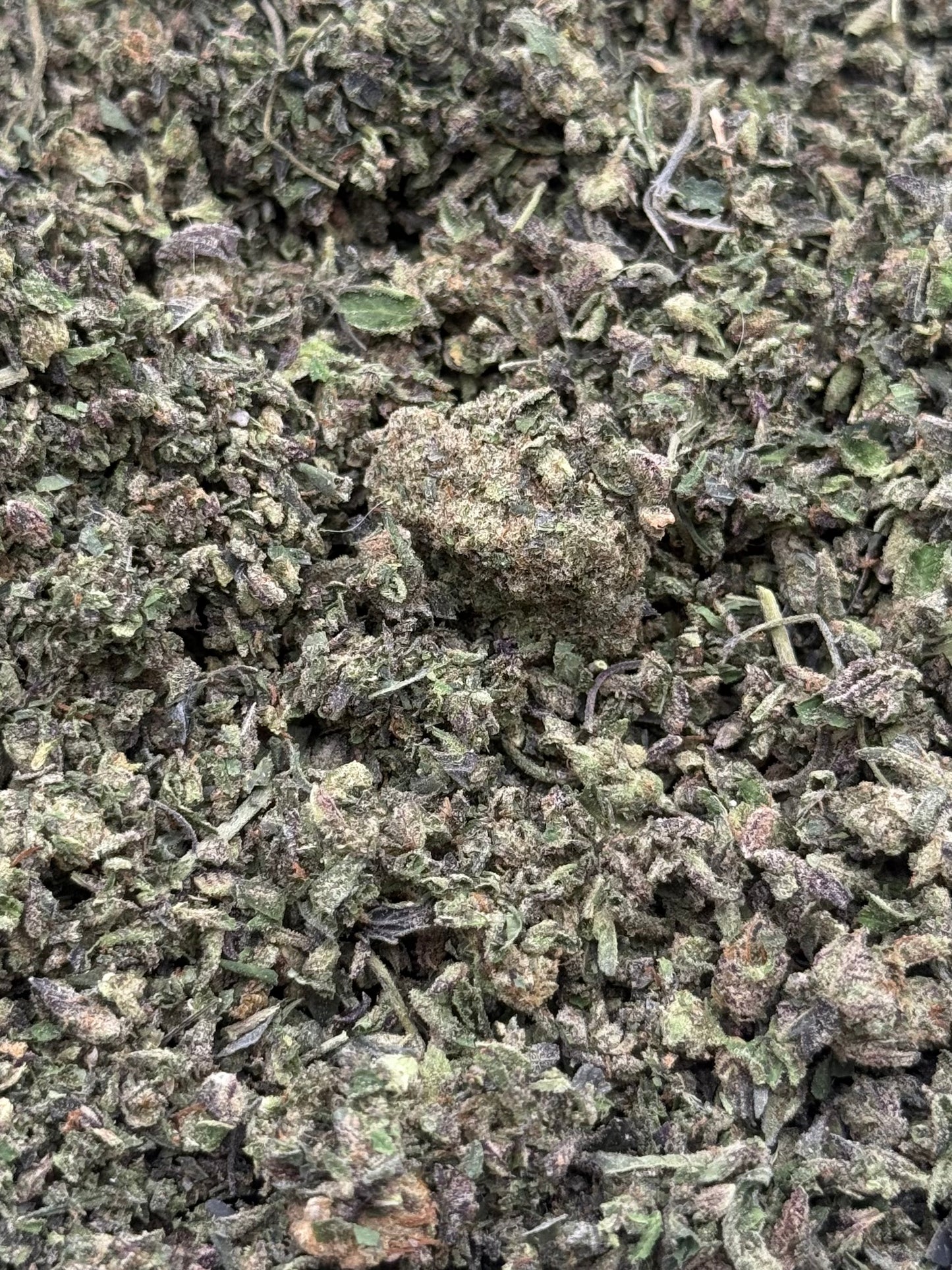 White Widow #364 Shake