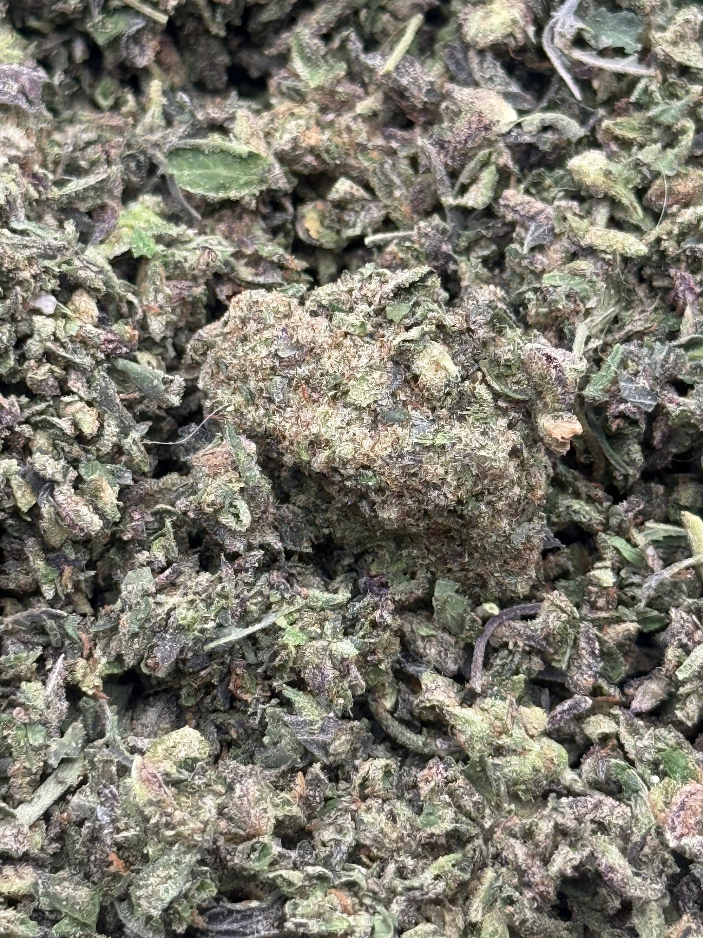 White Widow #364 Shake