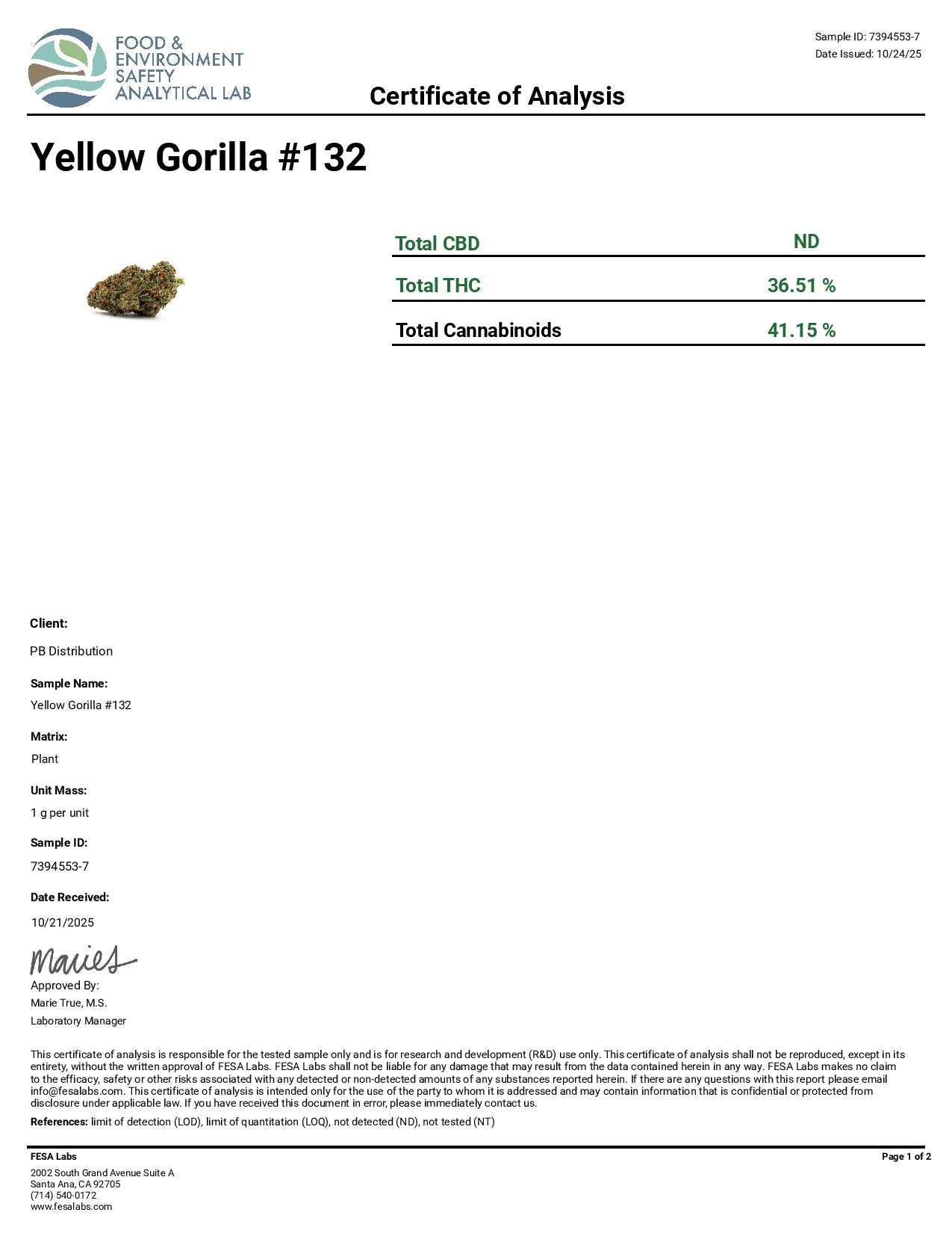Yellow Gorilla #132