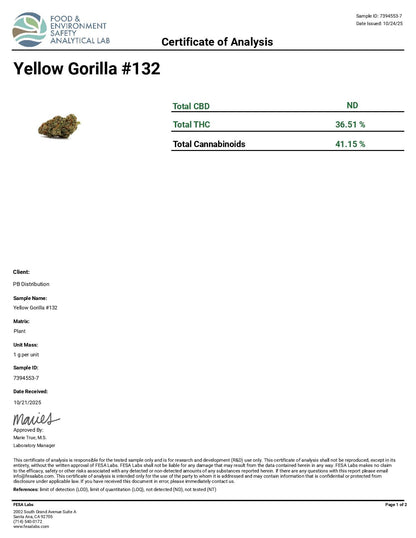 Yellow Gorilla #132