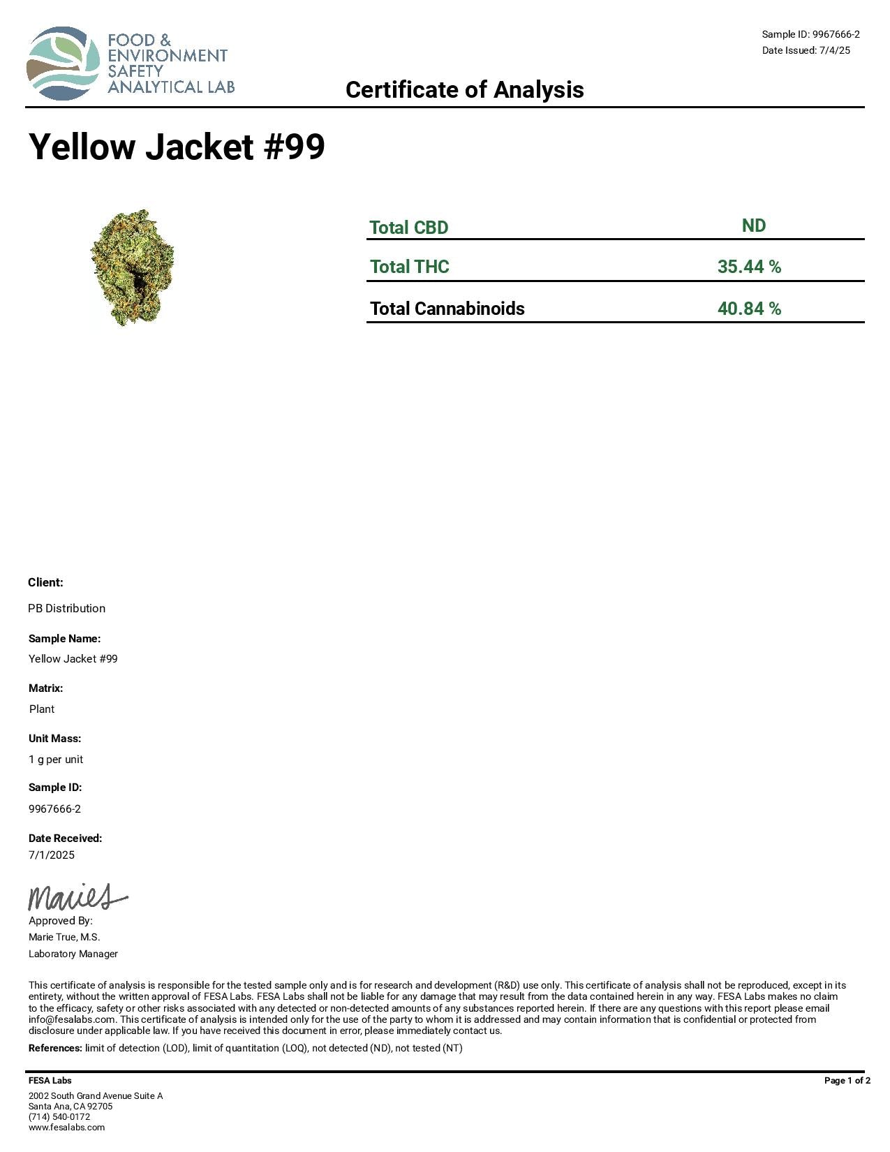 Yellow Jacket #99