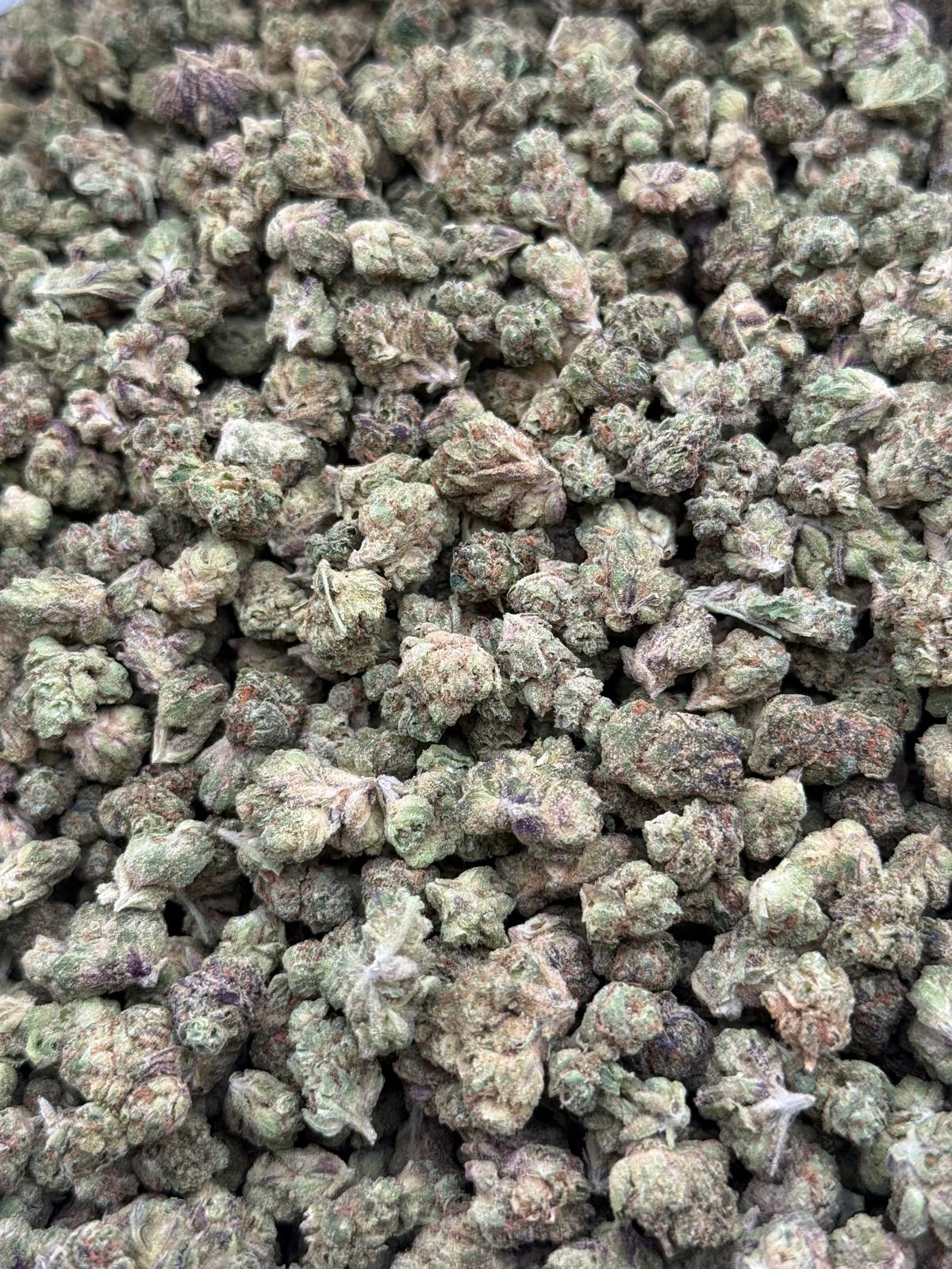 Zkittlez #224