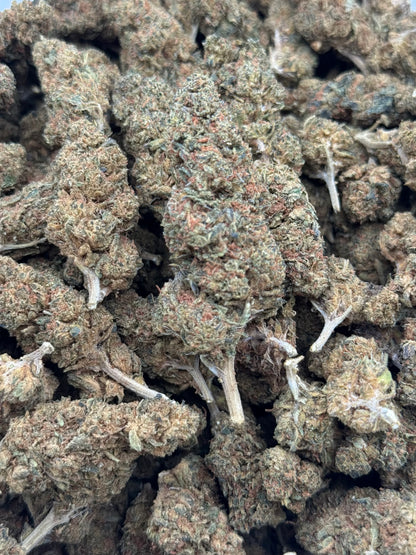 Zookies #407